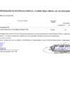 Vista preliminar de documento Modificaciones al Cuadro Multianual de Necesidades Nº 00000169-2024-MDSA