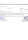 Vista preliminar de documento Modificaciones al Cuadro Multianual de Necesidades Nº 00000173-2024-MDSA