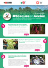 Vista preliminar de documento boletin_diciembre_2024
