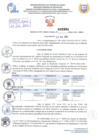 Vista preliminar de documento Resolución Directoral. N° 2894 - 2024 