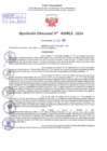 Vista preliminar de documento Resolución Directoral. N° 2915 - 2024 