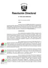 Vista preliminar de documento RD 811-2024-MIMP-OGA