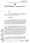 Vista preliminar de documento RESOLUCION DE PRESIDENCIA-D000248-2024-CONADIS-PRE