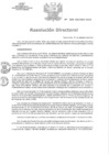 Vista preliminar de documento 208-2024-DG/HHV