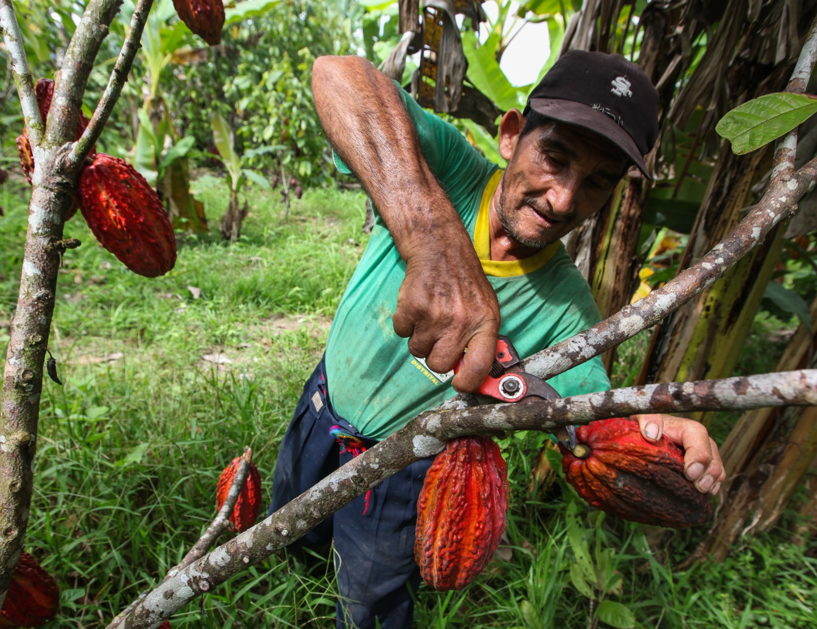 MIDAGRI: 82 años de compromiso con el desarrollo del sector agropecuario del país