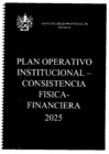 Vista preliminar de documento Plan Operativo Institucional – Consistencia Física-Financiera 2025