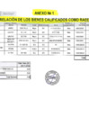 Vista preliminar de documento RUAF 169-2024-PRONIS anexo