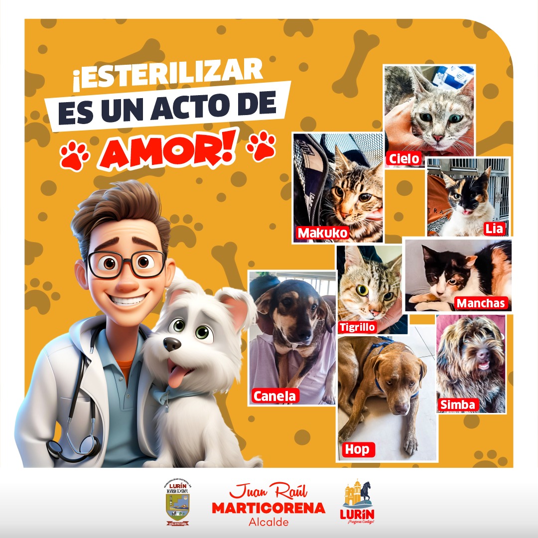 Archivo de JPG sobre una publicación del área de imagen