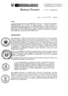 Vista preliminar de documento R.D.N.480-2024-INSN-DG