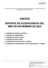 Vista preliminar de documento Ecoeficiencia institucional noviembre 2024 - Sunarp Zona Registral N° VIII