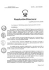 Vista preliminar de documento RD Nº316-2024-HNCH-DG