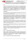 Vista preliminar de documento RJ 133-2024