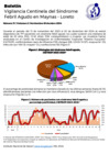 Vista preliminar de documento boletin febriles vol2 11