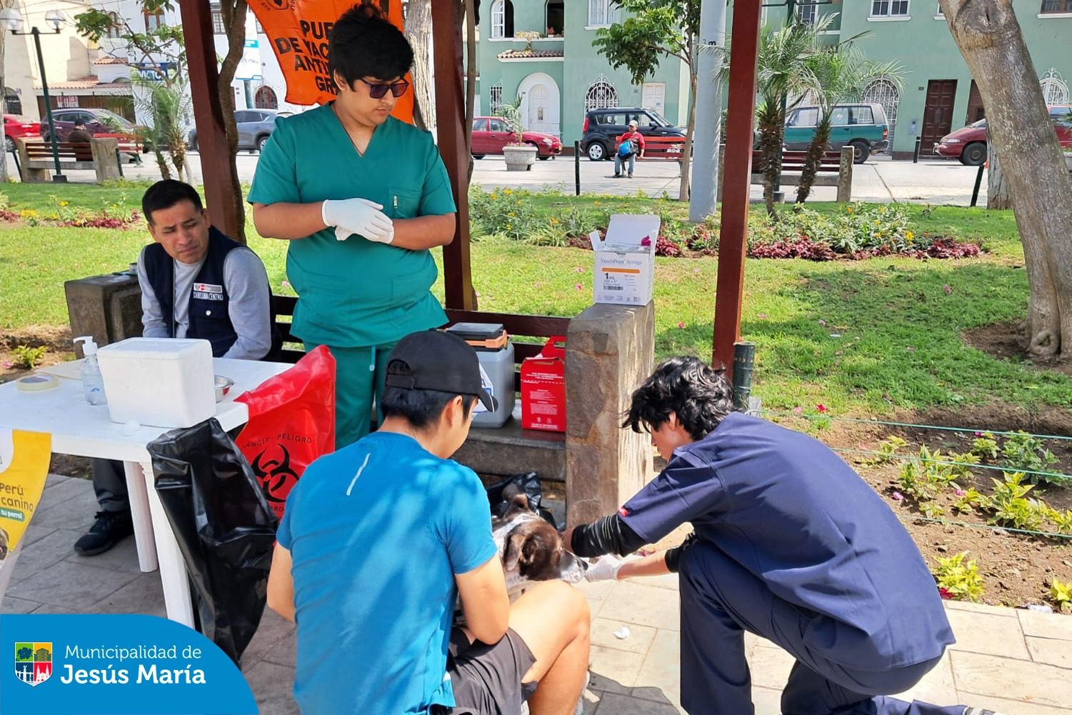 Realizamos una exitosa campaña veterinaria contra la rabia en la Plaza San José y el Parque Huiracocha, en coordinación con el Ministerio de Salud del Perú . 💉🐶 Esta iniciativa no solo previene la rabia, sino que también promueve la tenencia responsable y protege la salud de todas nuestras familias jesusmarianas.
👏 ¡Gracias a todos los que participaron y a quienes cuidan y protegen a sus mascotas! Recuerda que este 23 y 24 de noviembre estaremos en los mismos puntos de 8:00 a.m. a 4:00 p.m.. 🐕❤️ ¡Los esperamos!
