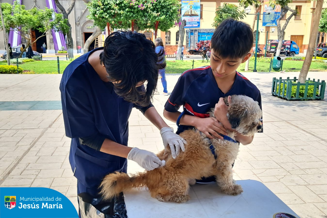 Realizamos una exitosa campaña veterinaria contra la rabia en la Plaza San José y el Parque Huiracocha, en coordinación con el Ministerio de Salud del Perú . 💉🐶 Esta iniciativa no solo previene la rabia, sino que también promueve la tenencia responsable y protege la salud de todas nuestras familias jesusmarianas.
👏 ¡Gracias a todos los que participaron y a quienes cuidan y protegen a sus mascotas! Recuerda que este 23 y 24 de noviembre estaremos en los mismos puntos de 8:00 a.m. a 4:00 p.m.. 🐕❤️ ¡Los esperamos!