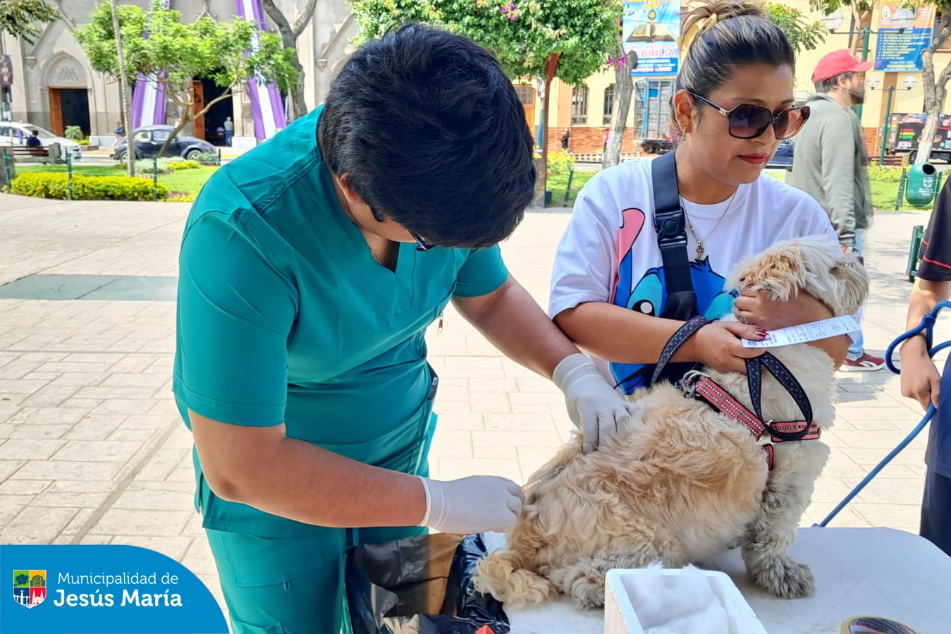 Realizamos una exitosa campaña veterinaria contra la rabia en la Plaza San José y el Parque Huiracocha, en coordinación con el Ministerio de Salud del Perú . 💉🐶 Esta iniciativa no solo previene la rabia, sino que también promueve la tenencia responsable y protege la salud de todas nuestras familias jesusmarianas.
👏 ¡Gracias a todos los que participaron y a quienes cuidan y protegen a sus mascotas! Recuerda que este 23 y 24 de noviembre estaremos en los mismos puntos de 8:00 a.m. a 4:00 p.m.. 🐕❤️ ¡Los esperamos!