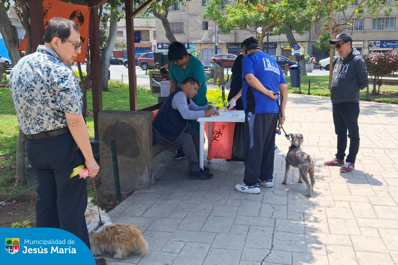 Realizamos una exitosa campaña veterinaria contra la rabia en la Plaza San José y el Parque Huiracocha, en coordinación con el Ministerio de Salud del Perú . 💉🐶 Esta iniciativa no solo previene la rabia, sino que también promueve la tenencia responsable y protege la salud de todas nuestras familias jesusmarianas.
👏 ¡Gracias a todos los que participaron y a quienes cuidan y protegen a sus mascotas! Recuerda que este 23 y 24 de noviembre estaremos en los mismos puntos de 8:00 a.m. a 4:00 p.m.. 🐕❤️ ¡Los esperamos!