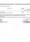 Vista preliminar de documento Anexo 6 Aprobación de Modificación al CMN N°049