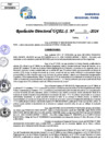 Vista preliminar de documento Resolucion Directoral N° 006239-2024
