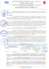 Vista preliminar de documento RESOLUCION DE ALCALDIA 317