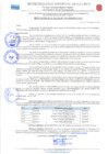 Vista preliminar de documento RESOLUCION DE ALCALDIA 314