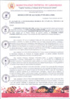 Vista preliminar de documento Documento005711
