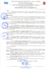 Vista preliminar de documento RESOLUCION DE ALCALDIA 306