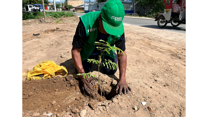 Jornada de arborizaciรณn en la faja marginal del rรญo Cumbaza.