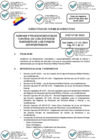 Vista preliminar de documento 01 2024-12-17 Directiva N° DCD-20-2024
