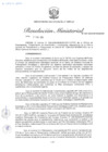 Vista preliminar de documento RM-481-2024-MINEM-DM
