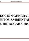Vista preliminar de documento DGAAH