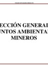Vista preliminar de documento DGAAM