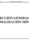 Vista preliminar de documento DGFM
