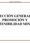 Vista preliminar de documento DGPSM