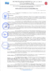 Vista preliminar de documento RESOLUCION DE ALCALDIA 295