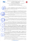 Vista preliminar de documento RESOLUCION DE ALCALDIA 294