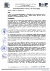 Vista preliminar de documento R.G.M N° 306-2024-GM
