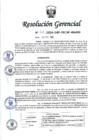 Vista preliminar de documento RESOLUCION N° 412-2024-PECHP