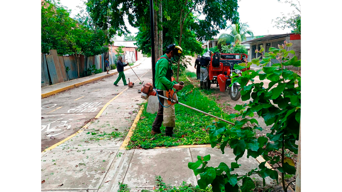 Mantenimiento de Γ‘reas verdes en diferentes puntos de la ciudad de Tarapoto.