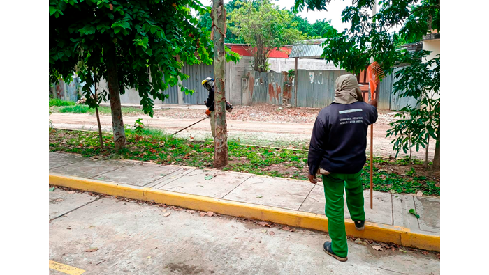 Mantenimiento de Γ‘reas verdes en diferentes puntos de la ciudad de Tarapoto.