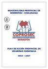 Vista preliminar de documento PLAN DE ACCIÓN PROVINCIAL DE SEGURIDAD CIUDADANA 2024-2027