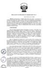 Vista preliminar de documento RP-004-2025-CONCYTEC-P
