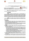 Vista preliminar de documento 491