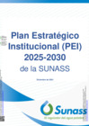 Vista preliminar de documento Pei-2025-2030-de-la-sunass