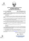 Vista preliminar de documento 1451-2024-OTAN