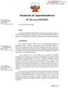Vista preliminar de documento RSI-282-2024-SUNAFIL y Anexo