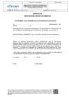Vista preliminar de documento ANEXO N° 2 DIRECTIVA CAS-000010-2024-GM
