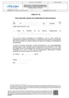 Vista preliminar de documento ANEXO N° 6 DIRECTIVA CAS-000010-2024-GM