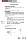 Vista preliminar de documento EETT ESCALERA CON PLATAFORMA DE METAL[F][F][F][F] (1)
