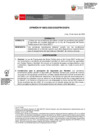 Vista preliminar de documento OPINION_0065-2023-DGPA